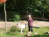 ../thumbnails/042-werkplaats 011.jpg.small.jpeg